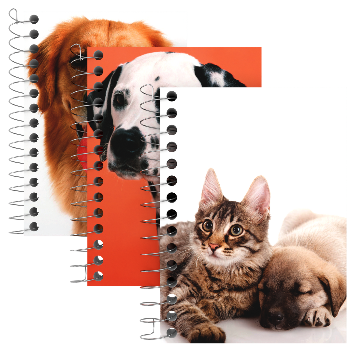 Spiral Fat Notebook:  Paper Cover - (Assorted Animal Design) 200 Sheets, 5.5 x 4 | Case Pack: 48