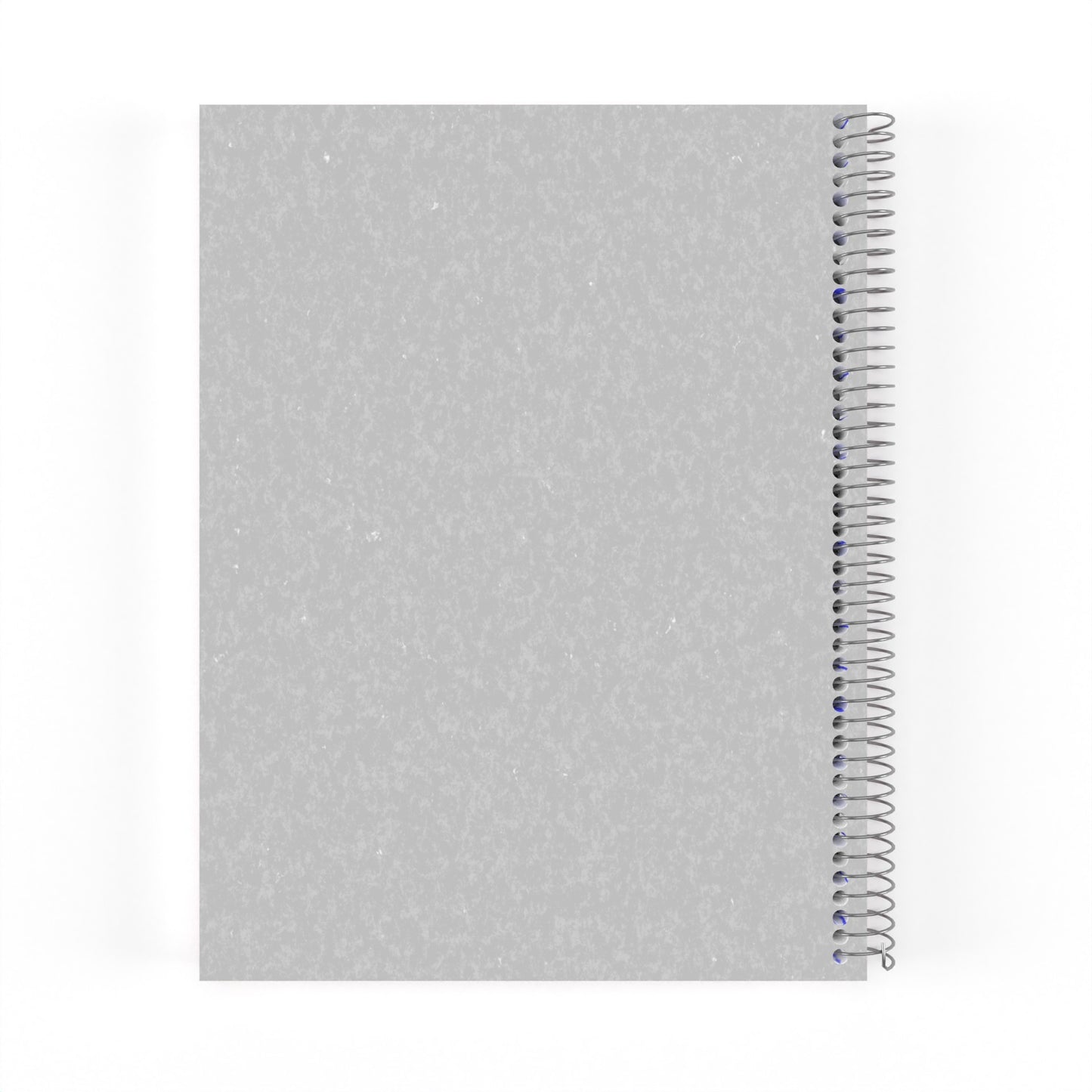 APEX 1-Subject Spiral Notebook: Poly Cover, College-Ruled, (Assorted Colors), 2 Pocket Divider, 80 Sheets, Case of 36 Notebooks